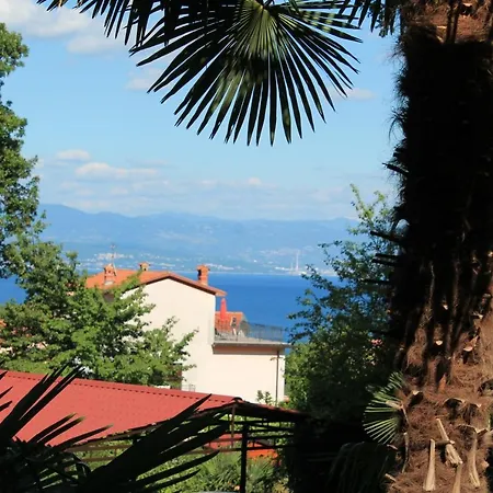 Tominovic